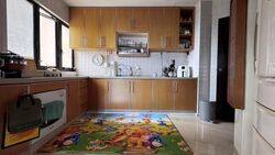Bayshore Park (D16), Condominium #551277251